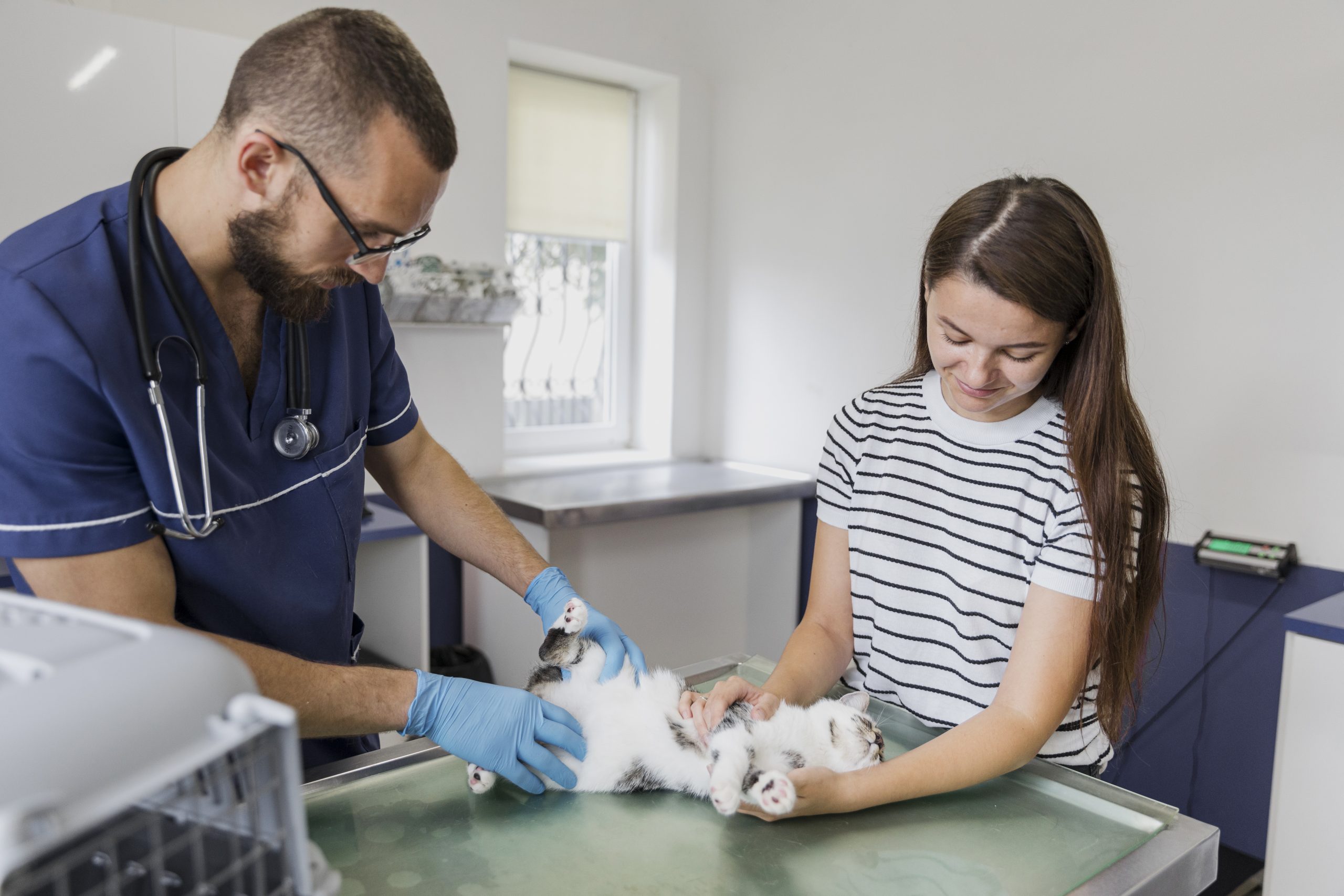 dermatologia-veterinaria-en-griñon